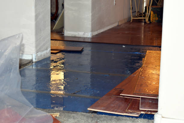 Professional Water Damage Restoration technician working in Lumberton, MS